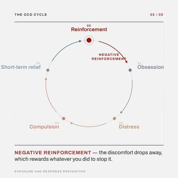 Pure O OCD Myths: What "Purely Obsessional" Really Means (and What It Doesn't) 1 Diagram of the OCD cycle: obsession, distress, compulsion, short-term relief, reinforcement — with negative reinforcement closing the loop.